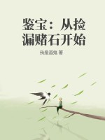 《鉴宝：从捡漏赌石开始》